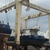 Пульс Алексино порт Марина Shipyard на 19.01.16г.